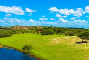 Brazilian landscape.