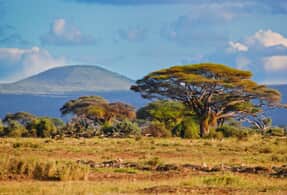 Kenyan landscape.