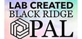 Lab created black ridge opal gemstone logo.