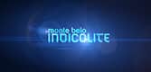 Monte Belo Indicolite Logo
