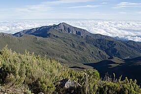 Brazilian landscape Brazilian landscape.