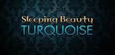 Sleeping Beauty Turquoise Gemstone Logo