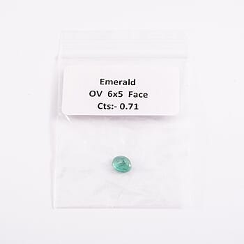 Default Title - Product card gallery slide 1 (10176339935545)