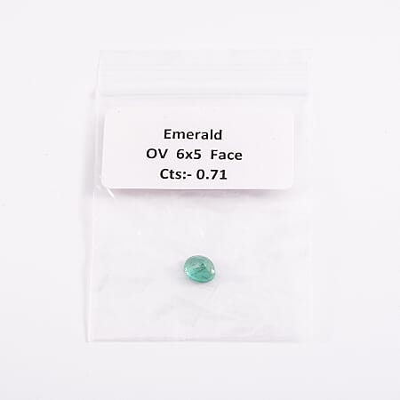Default Title - Product card gallery slide 1 (10176339935545)