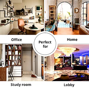 AAA Grade Ammonite Rare Specimen (11 Lbs), Large Ammonite Fossil for Home and Office Decor, Gemstone Decorative Table Centerpiece