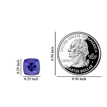 Default Title - Product card gallery slide 3 (10176354910521)