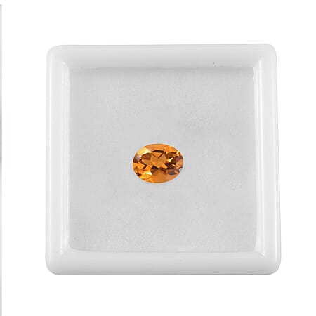 Default Title - Product card gallery slide 4 (10176357892409)