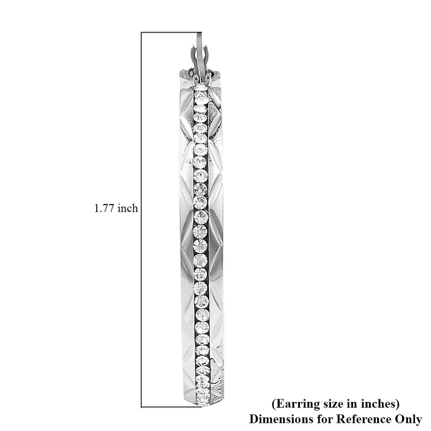 Austrian Crystal Hoop Earrings in Stainless Steel