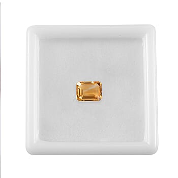 Default Title - Product card gallery slide 4 (10176359203129)