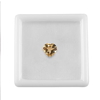 Default Title - Product card gallery slide 4 (10176359989561)