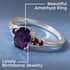 Amethyst Ring, Mozambique Garnet Accent Ring, Sterling Silver Ring, Engagement Ring For Women (Size 7.0) 1.25 ctw image number 1