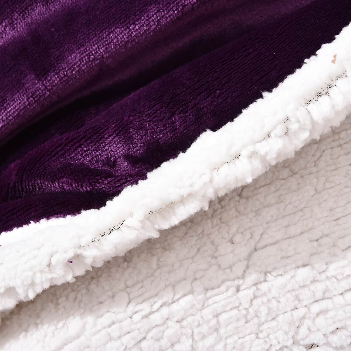 Homesmart Microfiber Flannel & Sherpa Reversible Blanket | Polyester Sherpa Blanket | Sherpa Throw Blanket image number 4