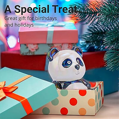 Black and White Ceramic Panda Money Bank, Panda Baby Piggy Bank, First Coin Bank, Best Birthday for Kids, Boys Girls Home Decoration