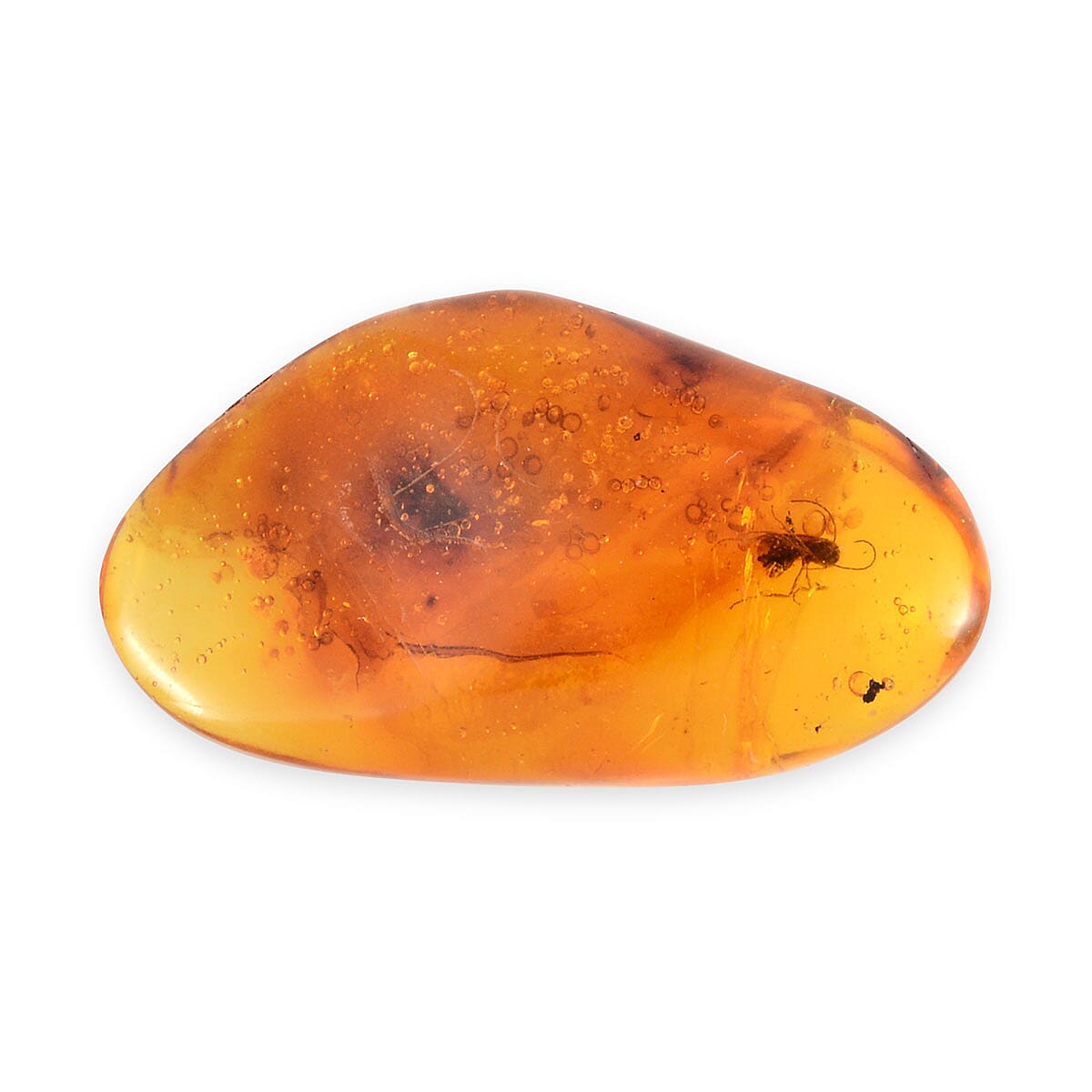 Neolithic Amber (Free Size Varies)
