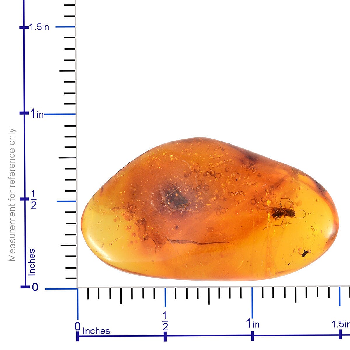 Neolithic Amber (Free Size Varies)