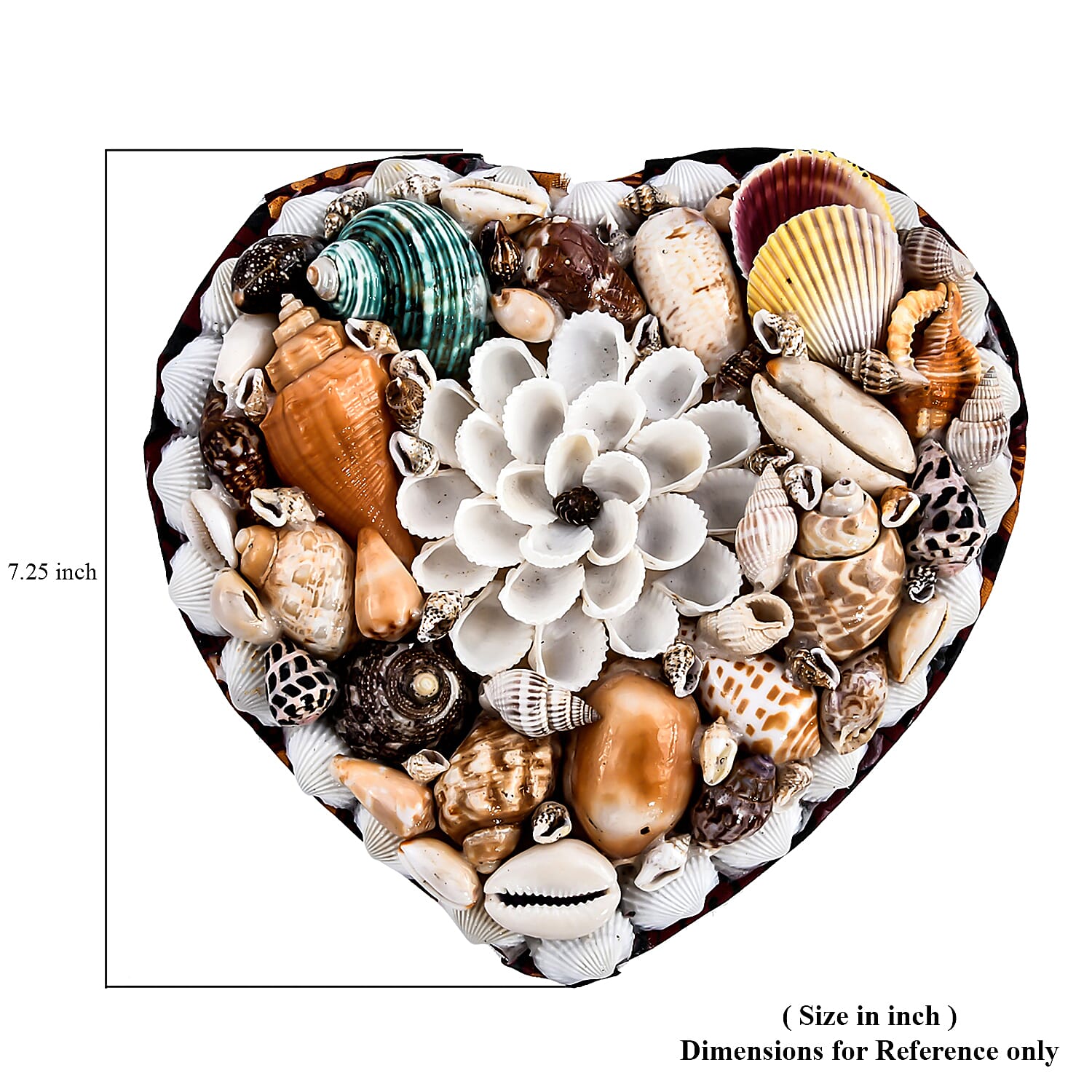 Multi Color Sea Shell Encrusted Heart Shaped Jewelry Box