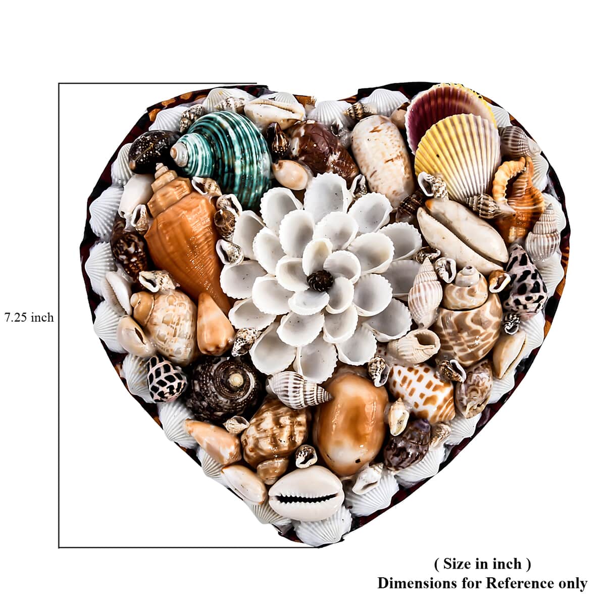 Multi Color Sea Shell Encrusted Heart Shaped Jewelry Box image number 5