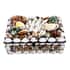 Multi Color Sea Shell Encrusted Rectangle Shaped Box image number 0