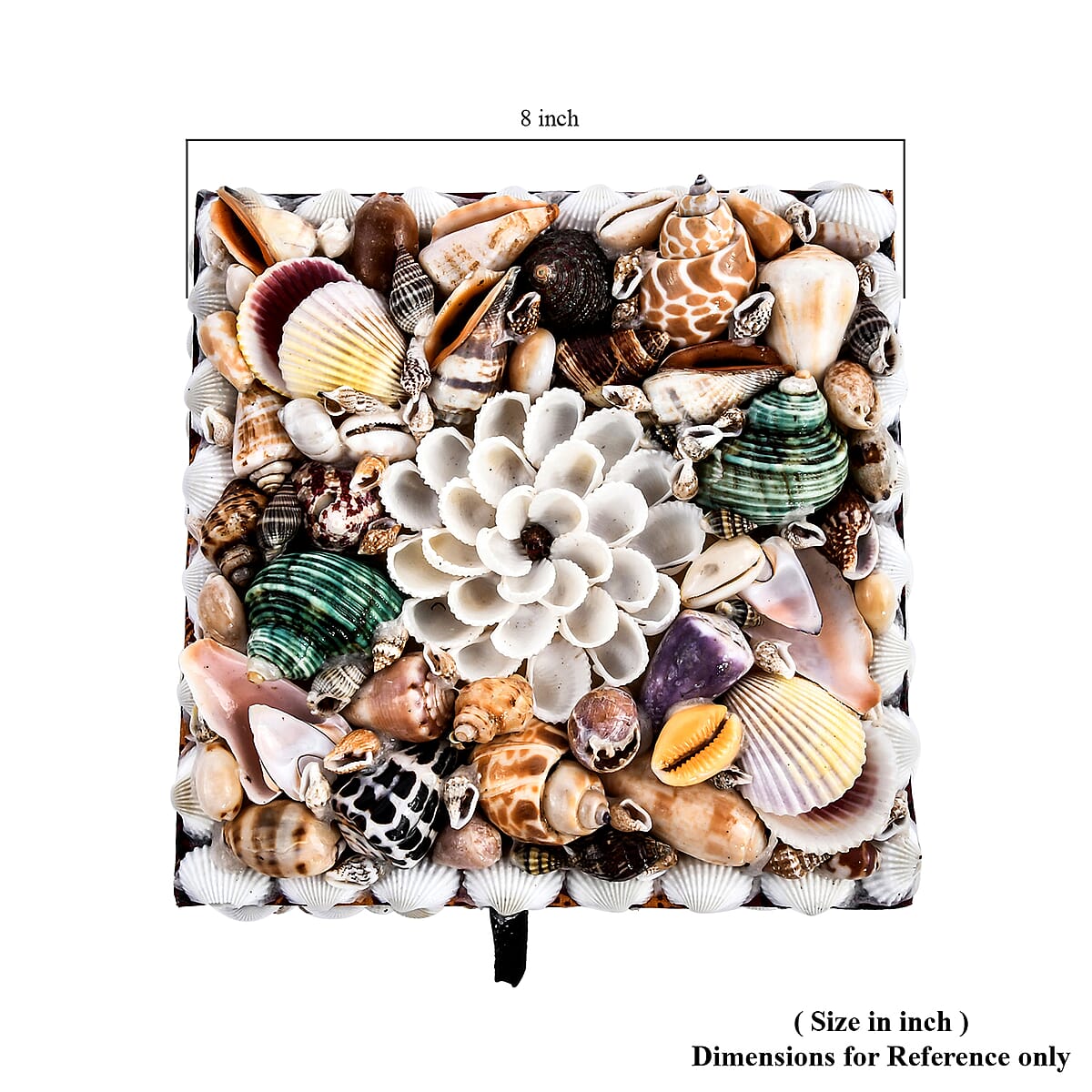 Sea Shell Encrusted Treasure Chest Shaped Box image number 4