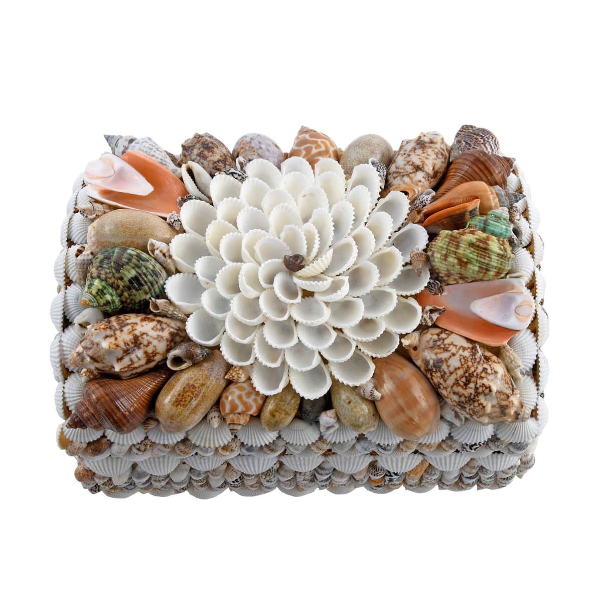 Multi Color Sea Shell Encrusted Treasure Chest Shaped Box image number 0