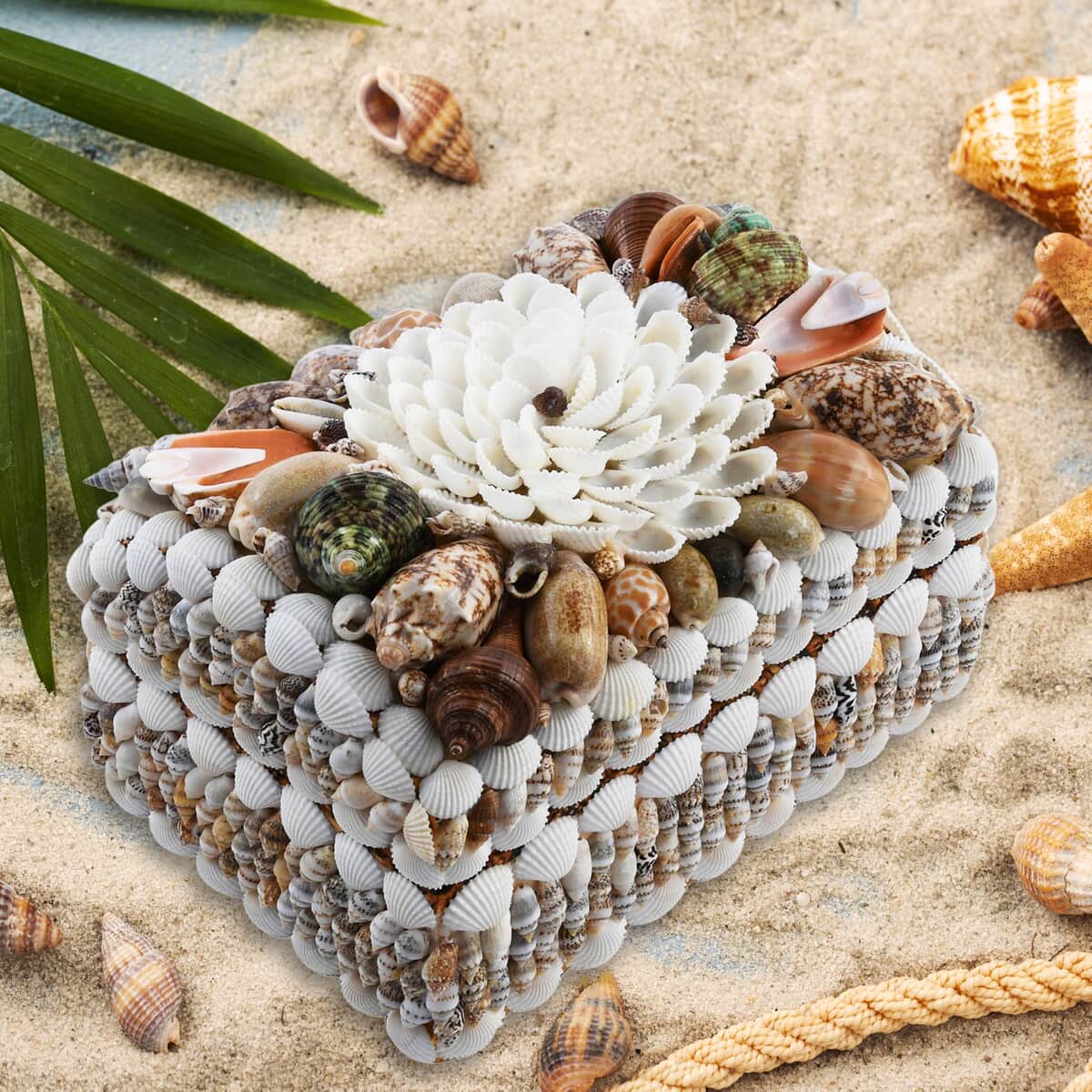 Multi Color Sea Shell Encrusted Treasure Chest Shaped Box image number 1