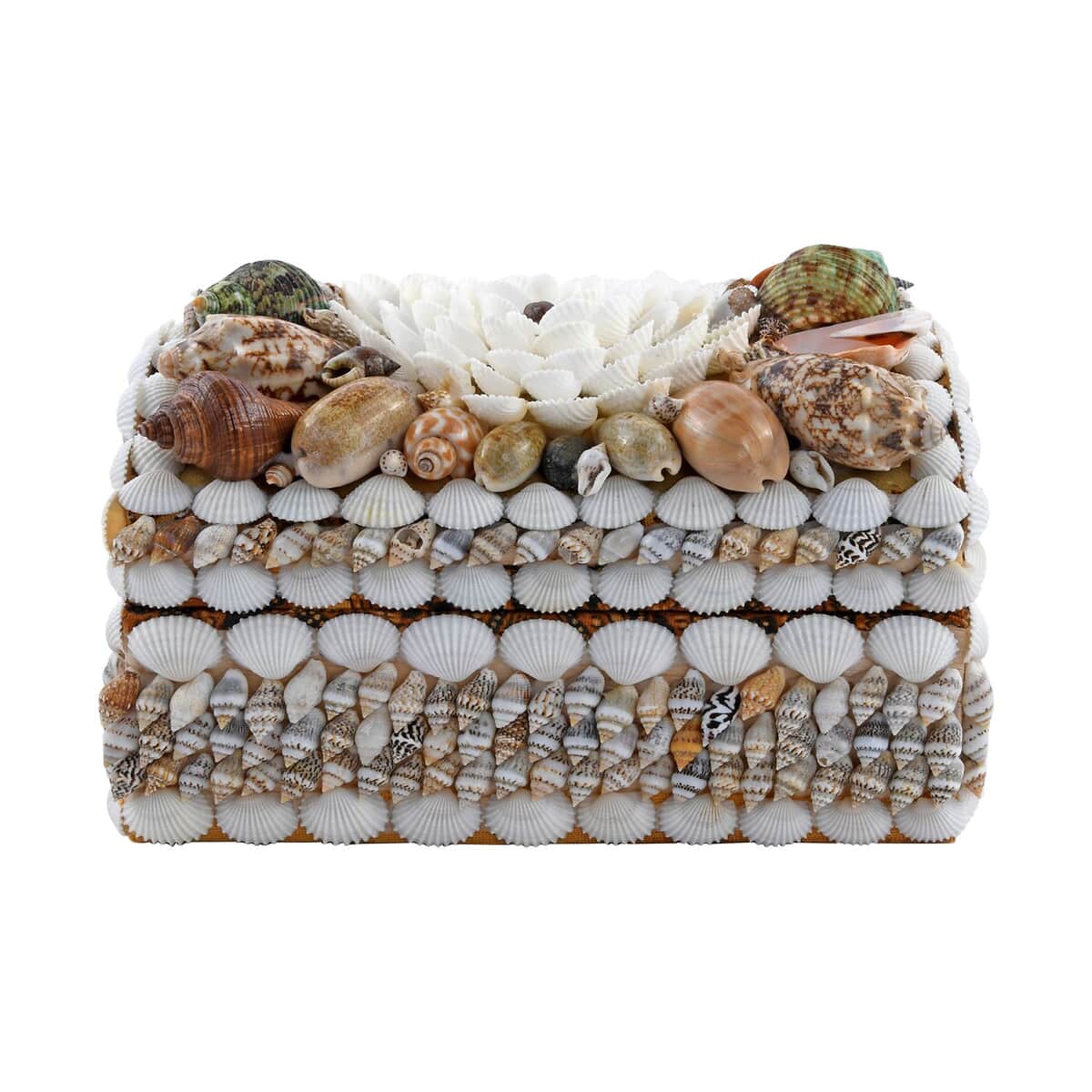 Multi Color Sea Shell Encrusted Treasure Chest Shaped Box image number 2