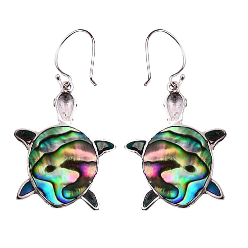 Abalone Shell - Product card gallery slide 4 (9431115038975)