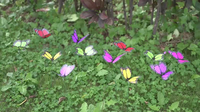 Set of 12 Multi Color Butterfly Windmil
