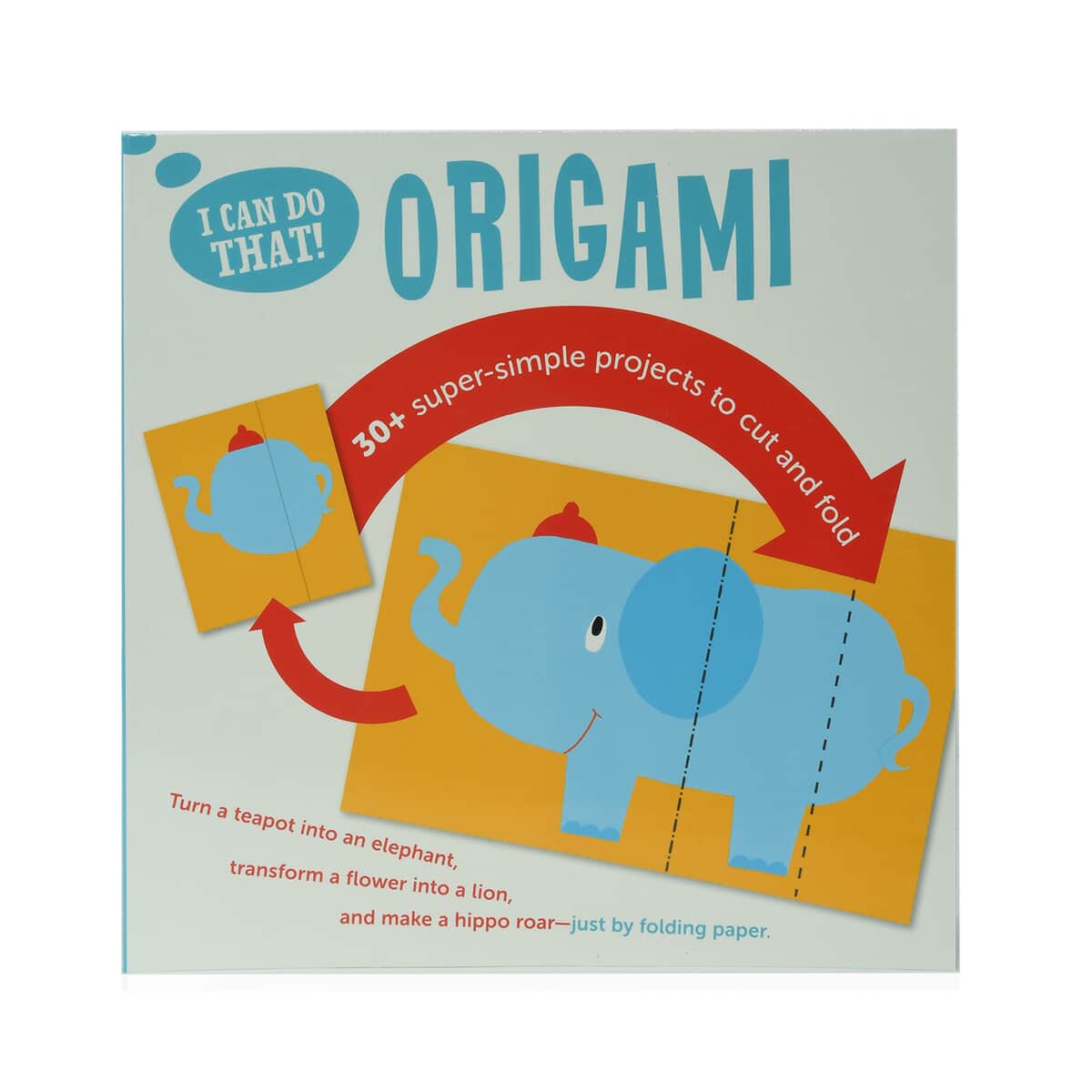 I Can Do That! Origami Book image number 0