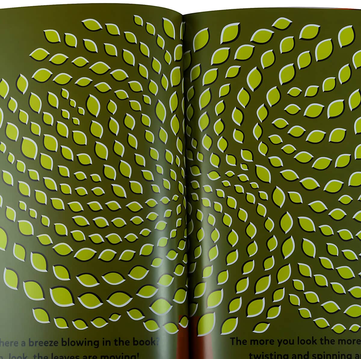 Now You See It Trick Your Brain with Simple Optical Illusions Book image number 3