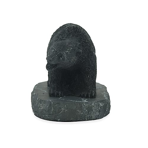 Bear - Product card gallery slide 2 (9431106027775)