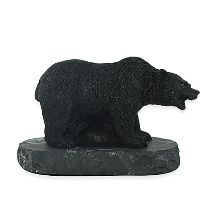 Bear - Product card gallery slide 3 (10176402096441)