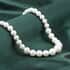 White Shell Pearl Beaded Necklace 20 Inches in Silvertone Magnetic Clasp image number 1