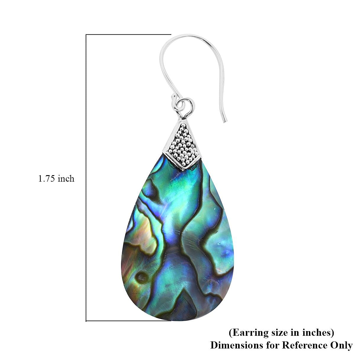 Abalone Shell Earrings in Sterling Silver