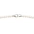 White Carved Bone Drop Necklace (18-20 Inches) in Silvertone image number 4