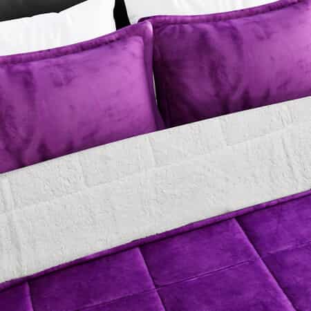 Shop LC Set of 20 Purple Double Sided Microfiber Home Kitchen