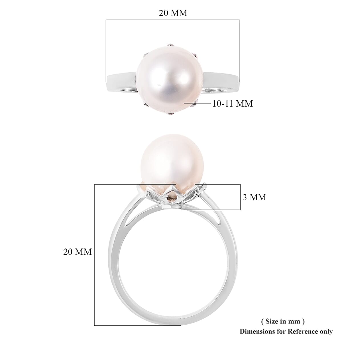 Galatea Bible Pearl Collection with Momento Technology South Sea White Cultured Pearl 10-11mm Ring in Sterling Silver (Size 10.0)