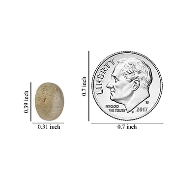 Default Title - Product card gallery slide 2 (10176411828537)