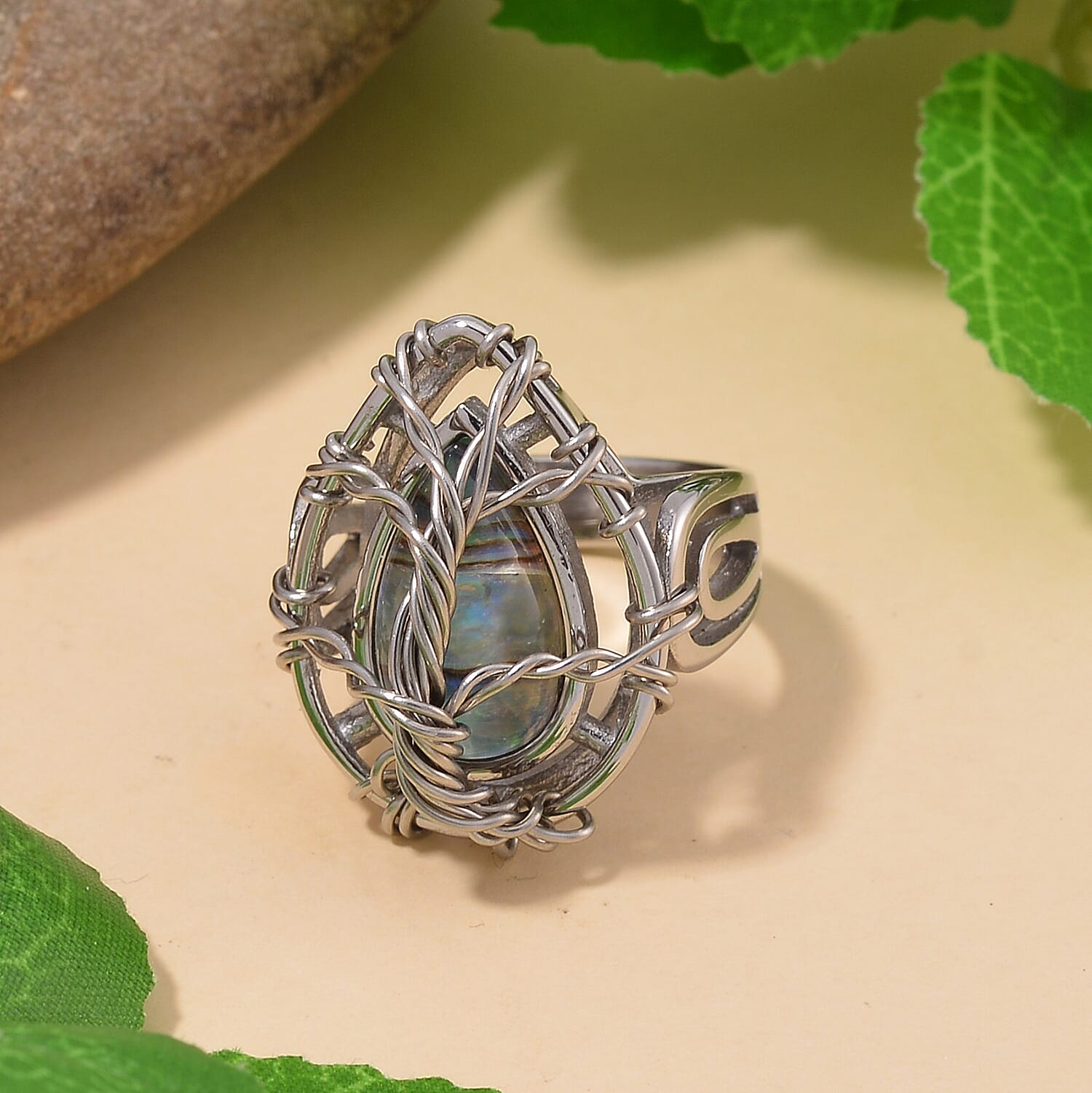 Abalone Shell / 6 - Product card gallery slide 2 (10144287719707)