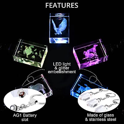 Set of 5 Crystal LED Rectangle Keychains (3xAG1 Battery included)