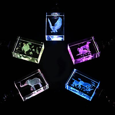 Set of 5 Crystal LED Rectangle Keychains (3xAG1 Battery included)