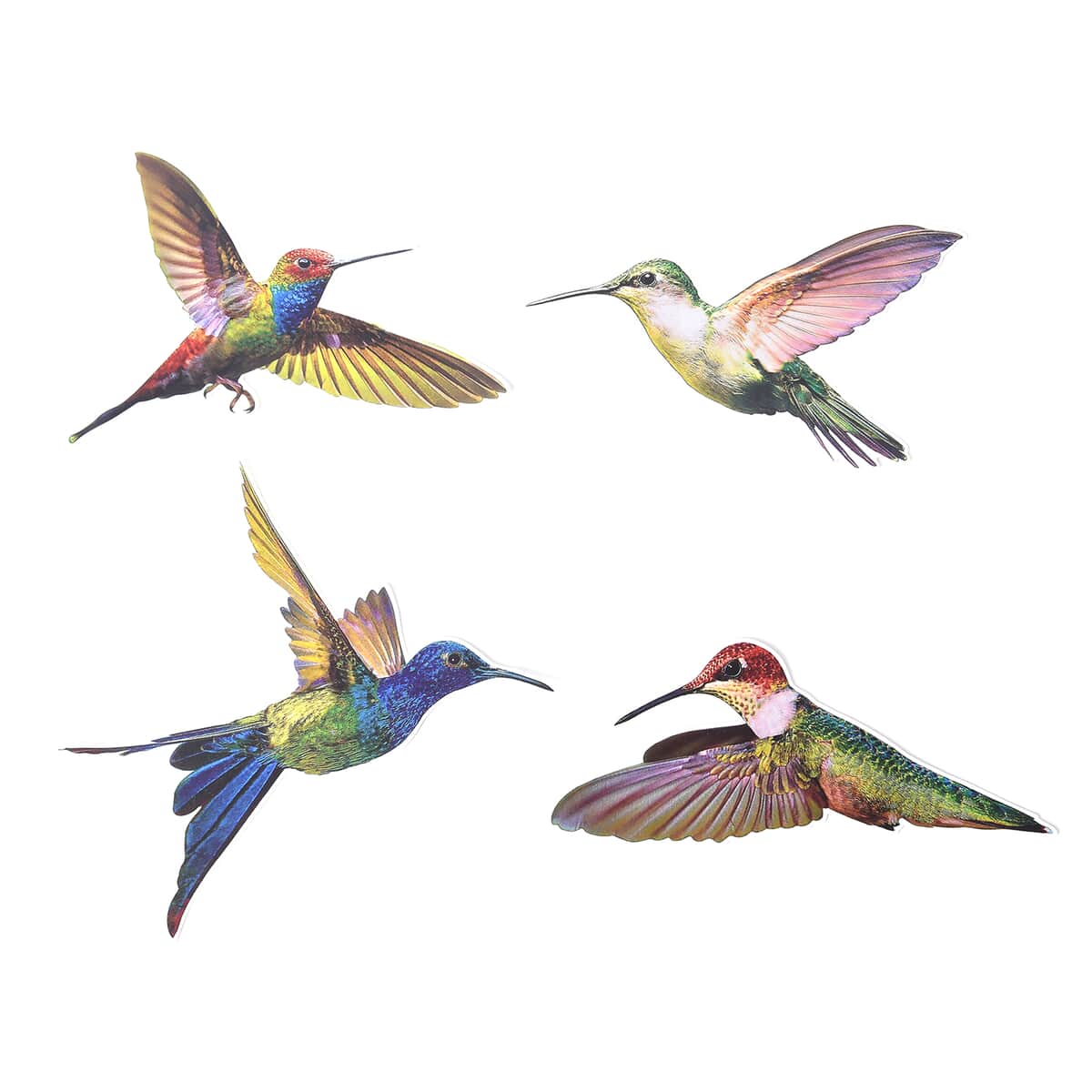 Set of 4 Multi Color Hummingbird Anti-Collision Window Clings (4.33"x5.11") image number 0