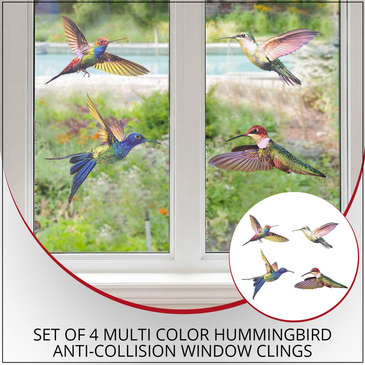 Set of 4 Multi Color Hummingbird Anti-Collision Window Clings (4.33"x5.11") image number 1