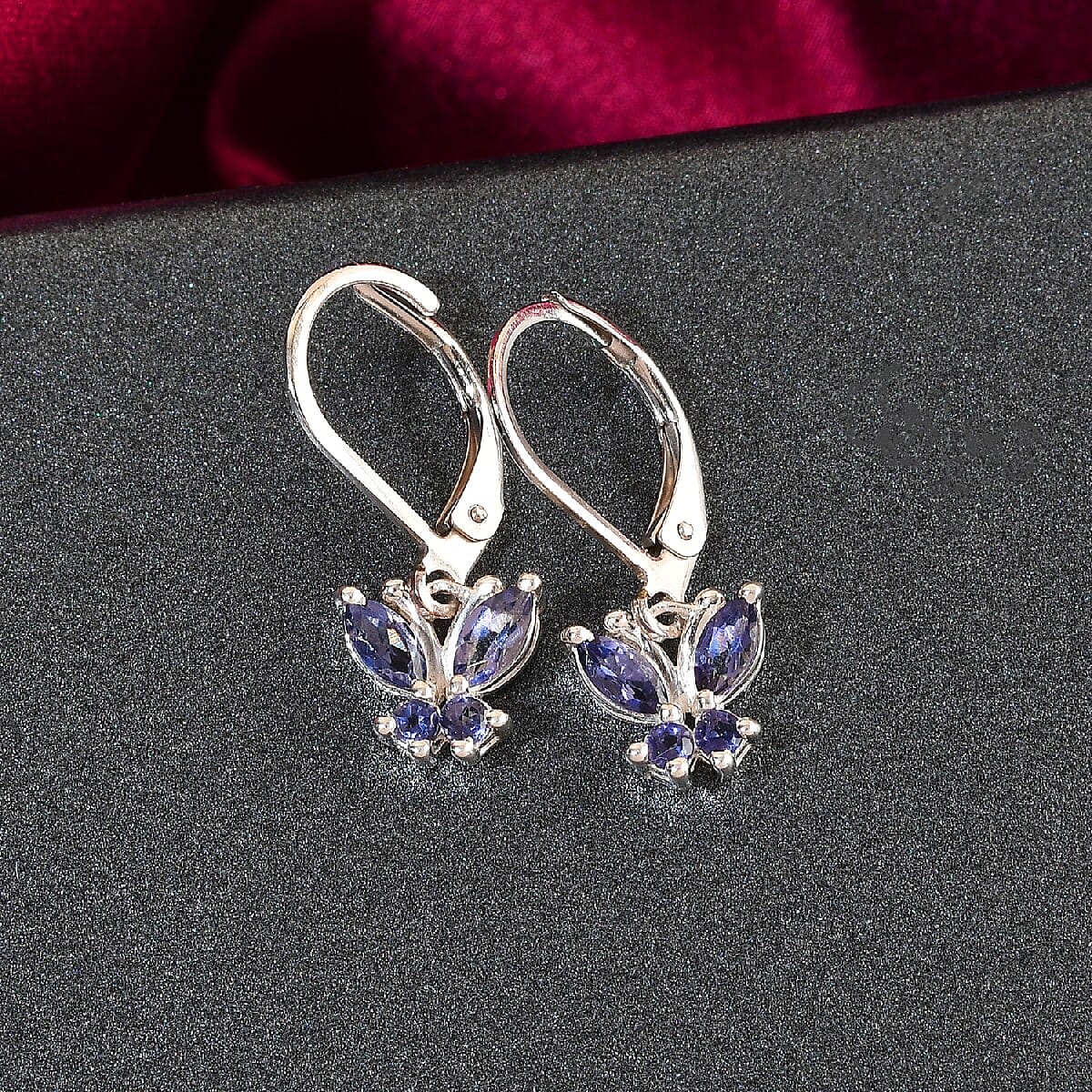 Catalina Iolite Earrings in Sterling Silver & Stainless Steel 0.60 ctw image number 1