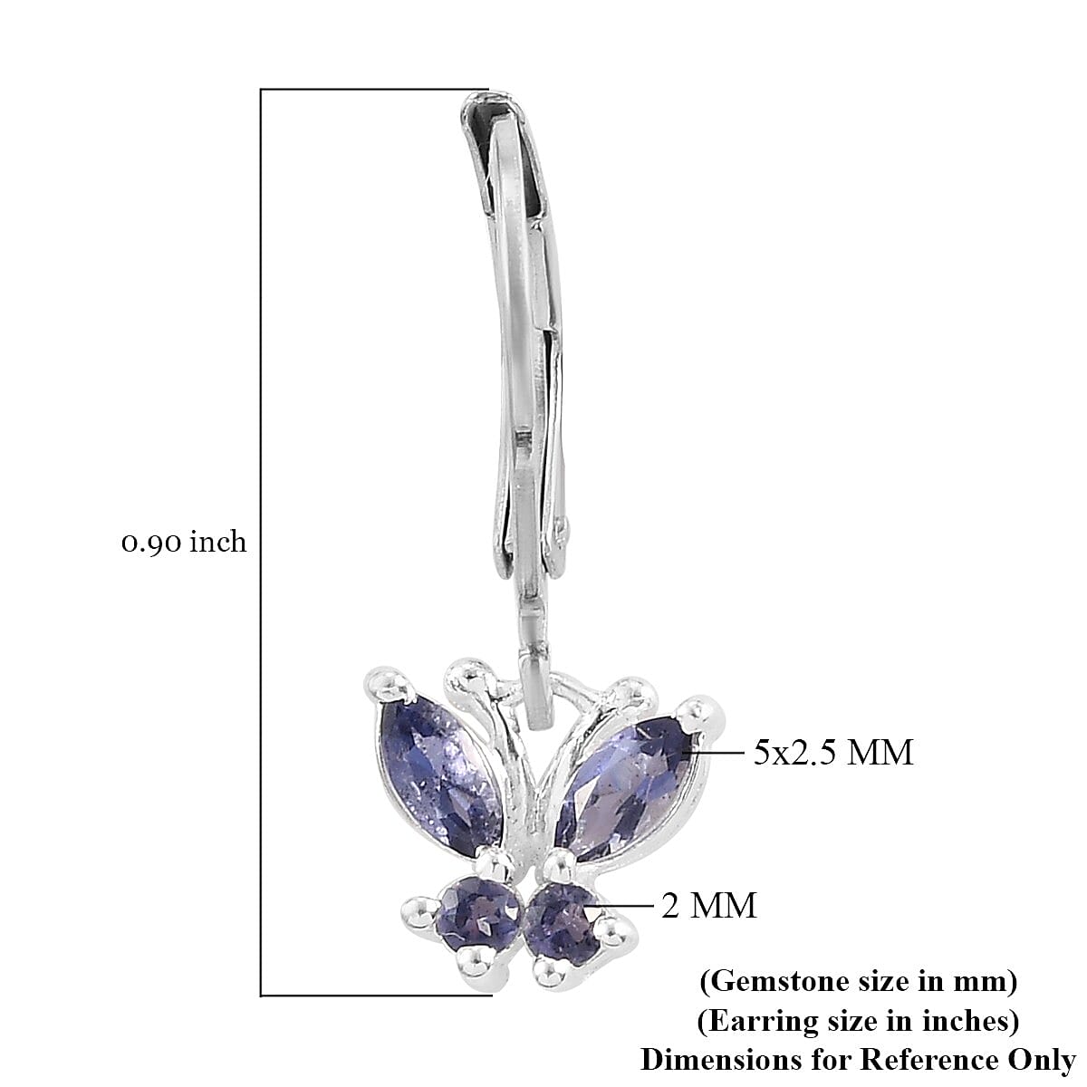 Catalina Iolite Earrings in Sterling Silver & Stainless Steel 0.60 ctw