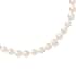 AAA White Pearl Necklace For Women in 10K Yellow Gold  image number 2