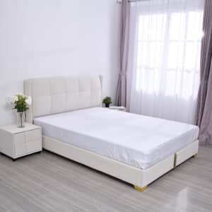 Homesmart White Polyester Bed Bug Encasement Queen
