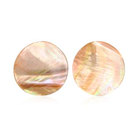 Brown Coconut Shell Earrings in Stainless Steel image number 0