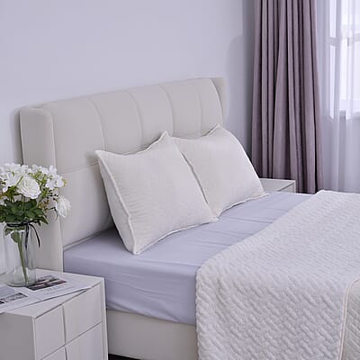 Homesmart Beige Solid Sherpa and Microfiber Quilt (King) and Set of 2 Shams