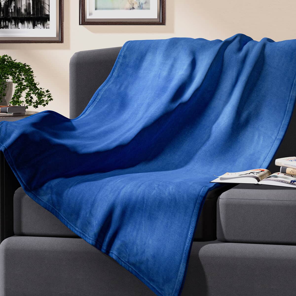 Homesmart Federal Blue Solid Coral Fleece Warmth and Soft Blanket image number 0